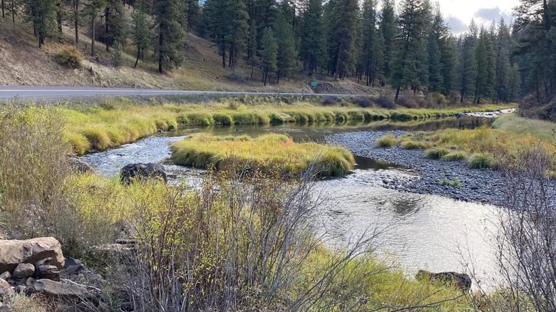 Oregon stream meanders between road and forest