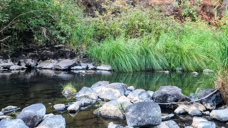 Clear waters flow through rock and grass in Ukiah-Dale National Forest