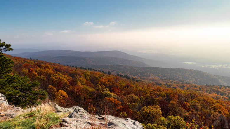 Fall colors in Ozark National Forest