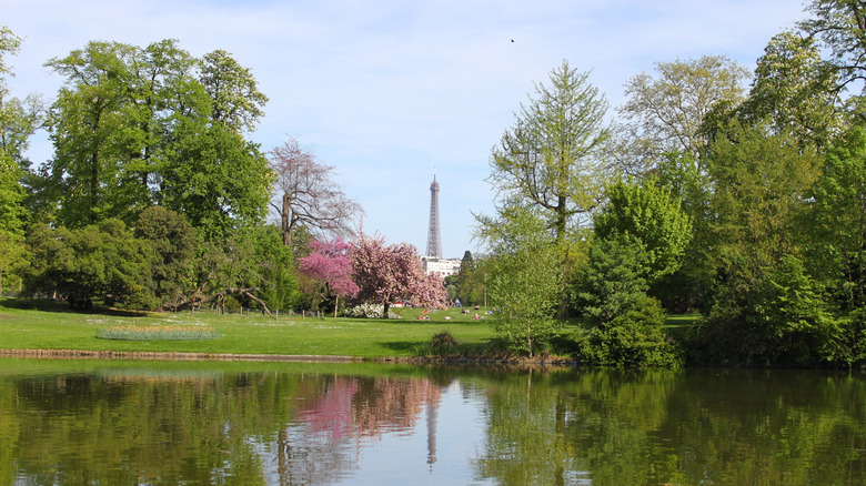 View of the Eiffel Tower from Bois de Boulogne