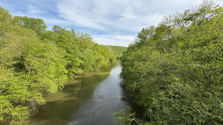 Schuylkill River Trail, surrounded by dense greenery beneath partly cloudy skies.
