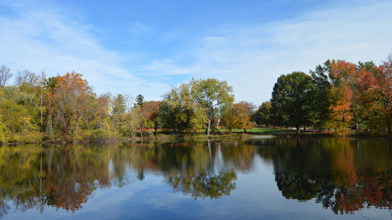 Picturesque duck pond at Haverford College, with autumn foliage in the backround.