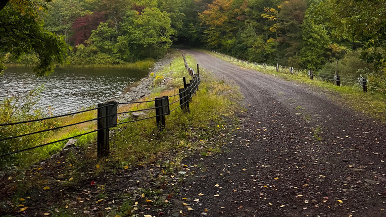 Empty trail on a rainy fall day in Lake Harmony