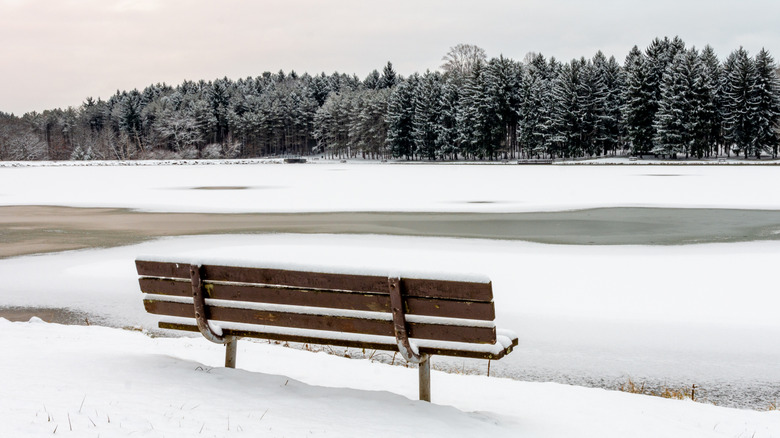 A snow-covered bench overlooks a frozen lake surrounded by a quiet forest near Greensburg, Pennsylvania