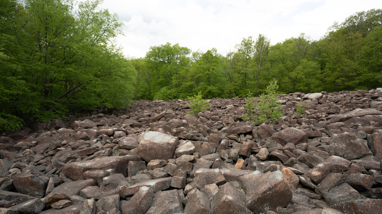 ringing rocks surrounded by trees