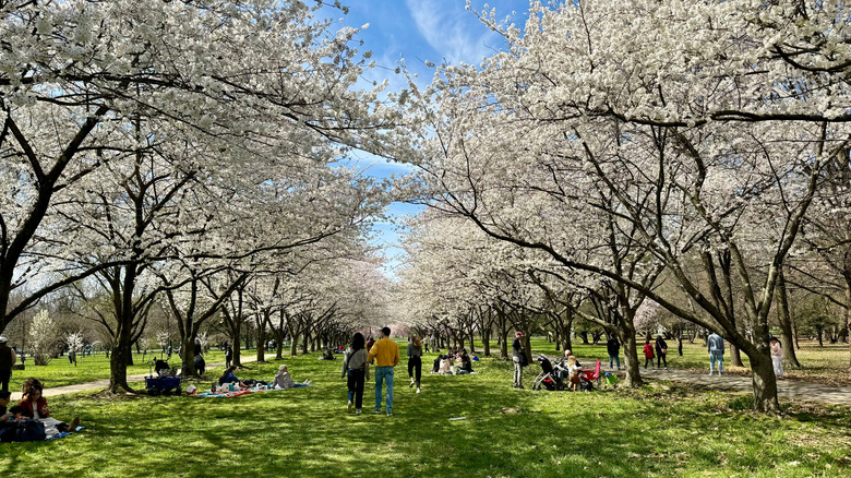 People walking in Fairmount park
