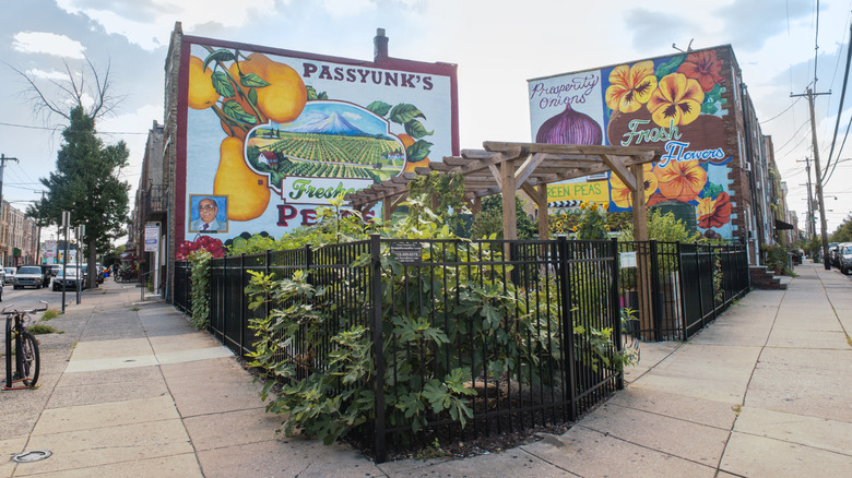 A corner lot in Passyunk decorated with murals