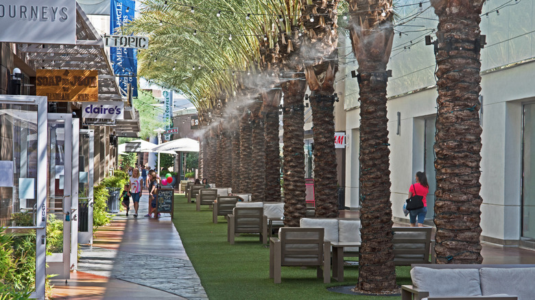 Phoenix's Desert Ridge marketplace lined with palm trees