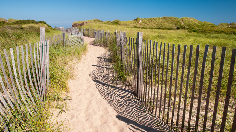 Path to beach in Rhode Island