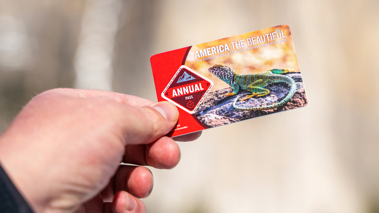 Close-up of a hand holding America the Beautiful park pass card