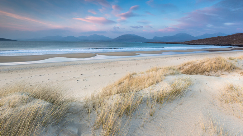 White sand and dune grass at Luskentyre Beach, Scotland during sunset
