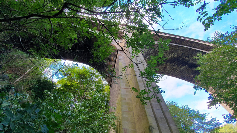 The Dean Bridge in Scotland surrounded by greenery