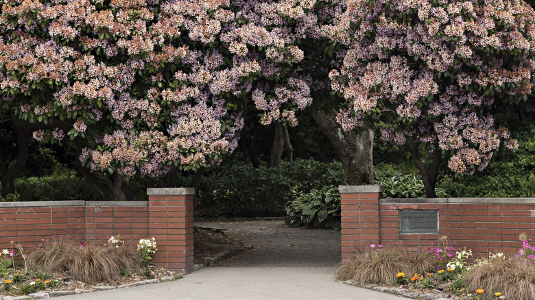 Entrance of Parsons Gardens in Seattle, Washington