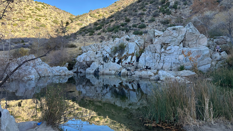 Deep Creek Hot Springs in winter