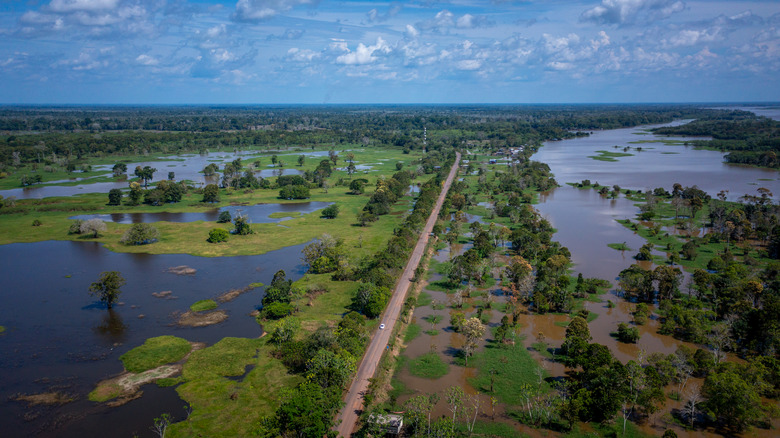an aerial view of the BR 319 road going through a rainforest wetland in the Brazilian Amazon