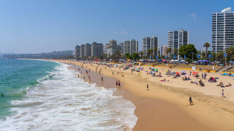 A beach filled with swimmer and umbrellas in Viña del Mar Chile