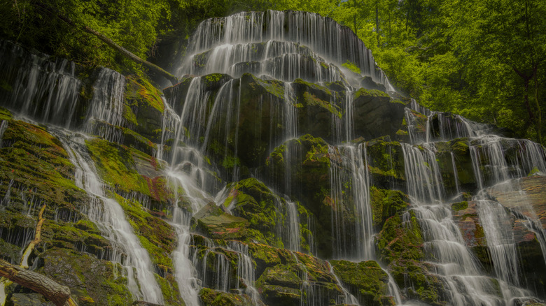 Many small waterfalls cascading over moss-covered rocks at Yellow Branch Falls, South Carolina