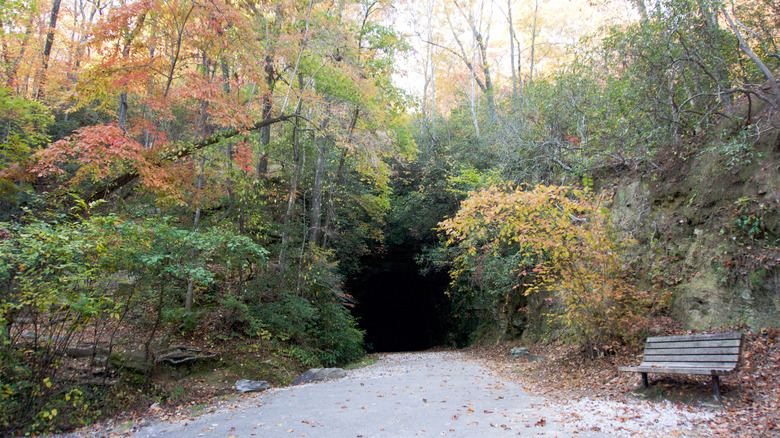 The entrance to Stumphouse tunnel with trees and a bench outside.