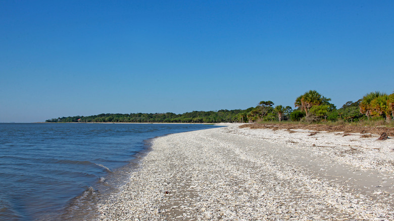 A beach covered in oyster shells on Daufuskie Island