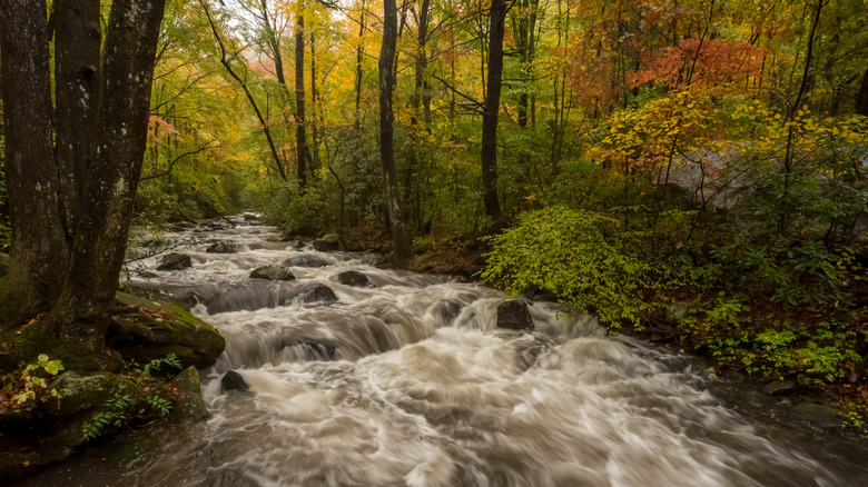 Cascade running through South Carolina's Jones Gap State Park in autumn