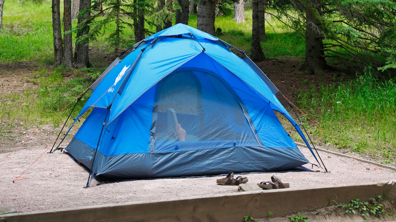 Camper reading in a tent in Custer State Park