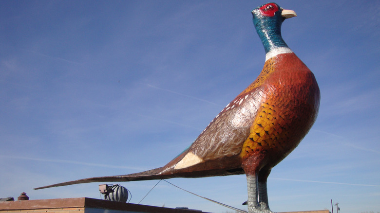 Worlds Largest Pheasant statue Huron South Dakota
