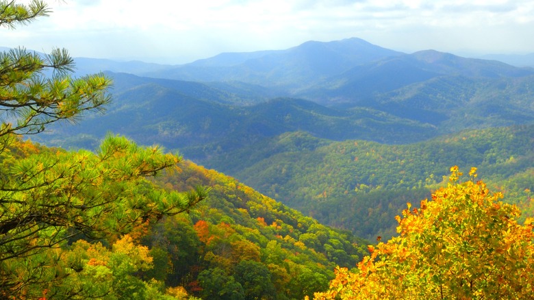 View of The Great Smoky Mountains along the Cherohala Skyway near Tellico Plains, TN.