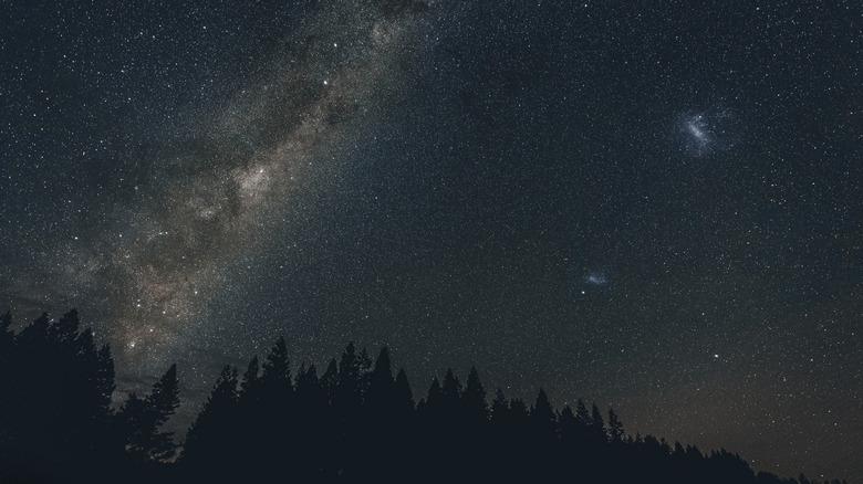 A nighttime view of the Milky Way above a forest