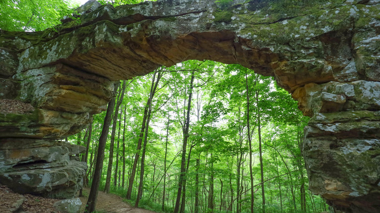 A stone arch in the forest