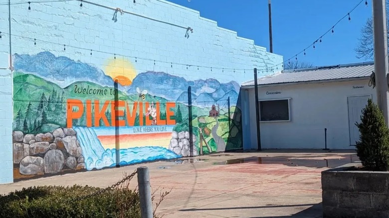 Welcome to Pikeville painting on wall