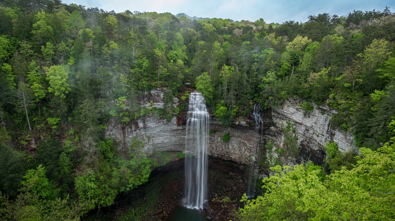 Fall Creek Falls waterfall with green foliage