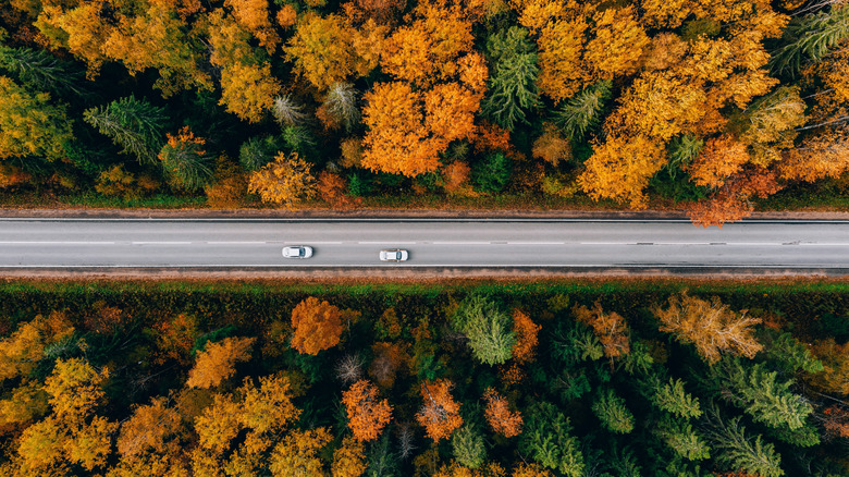 Aerial view of a highway and fall foliage
