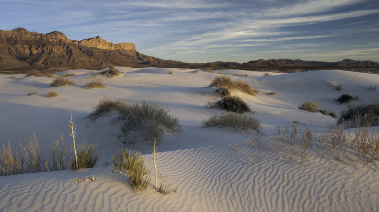 White salt and gypsum dunes at Salt Basin Dunes, in Guadalupe Mountains National Park, Texas.