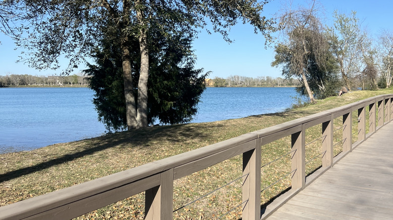 Path by Lake Friendswood