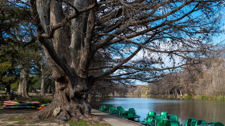 Kayaks and paddle boats parked at the Frio River in Concan