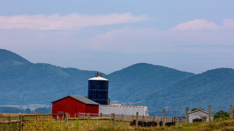 A barn and silo framed by mountains in Burke's Garden, Virginia