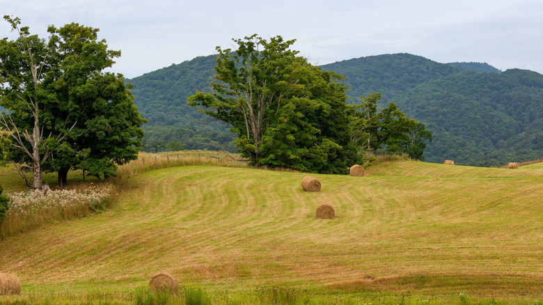 Rural agricultural landscape with hay bales in Burke's Garden, Virginia
