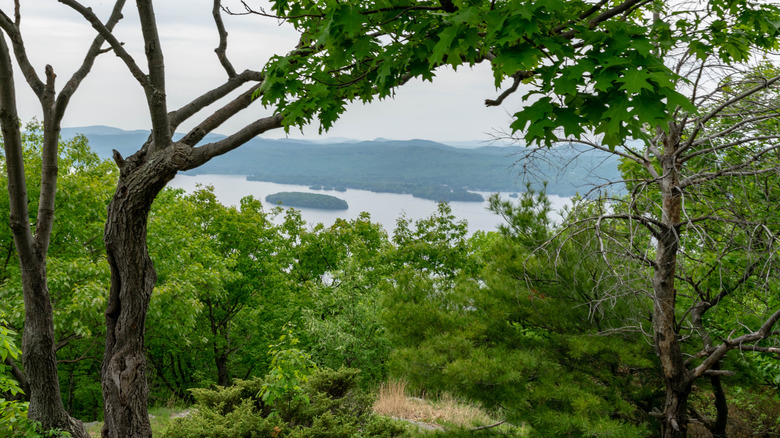 Views from the Shelving Rock Mountain trail