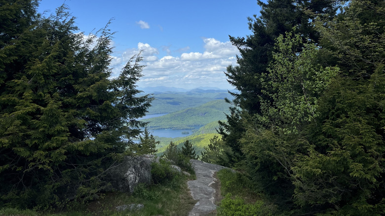 View of Lake George from Shelving Rock Mountain trees