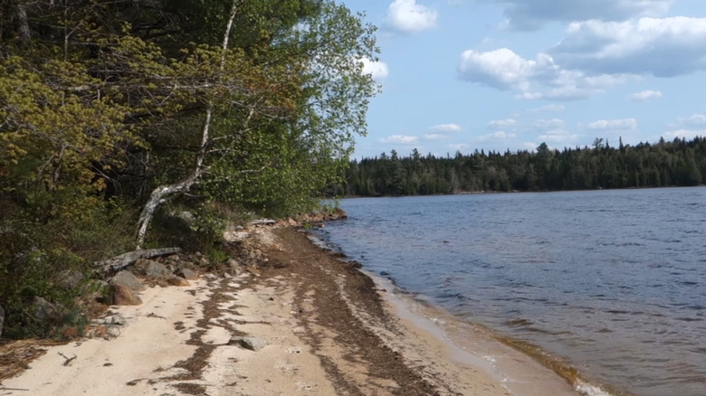 Lake Lila beach adirondacks