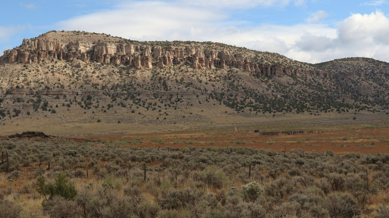 Typical landscape along Mt. Trumbull Road, Grand Canyon-Parashant National Monument, Arizona