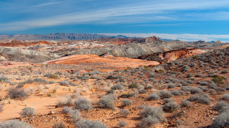 Colorful sandstone and limestone strata stretch to the east towards the Grand Wash Cliffs in Grand Canyon-Parashant National Monument in northern Arizona