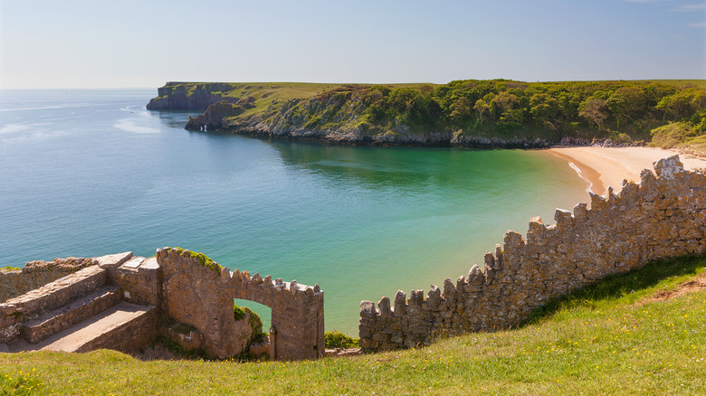 The shoreline at Barafundle Bay in Pembrokeshire, Wales