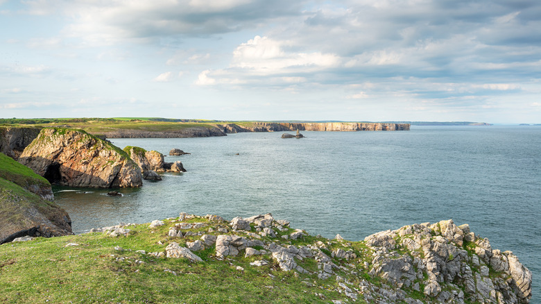 Stackpole Head viewpoint near Barafundle Bay, Wales