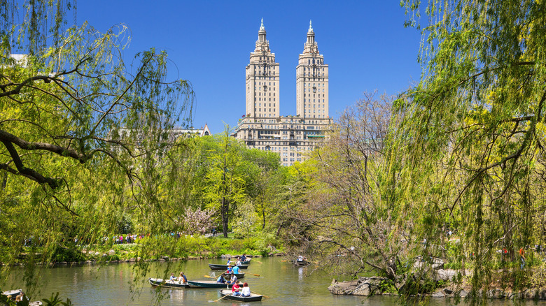 People in row boats on pond in Central Park