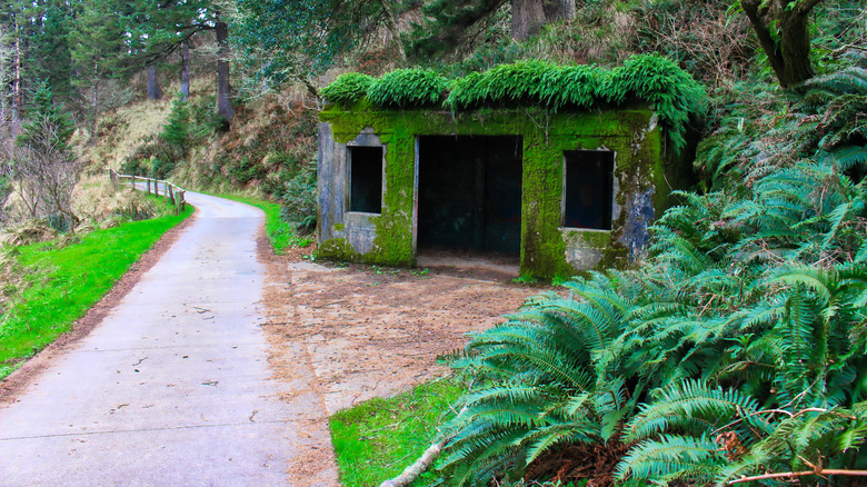 former bunker on Cape Disappointment Trail in Washington