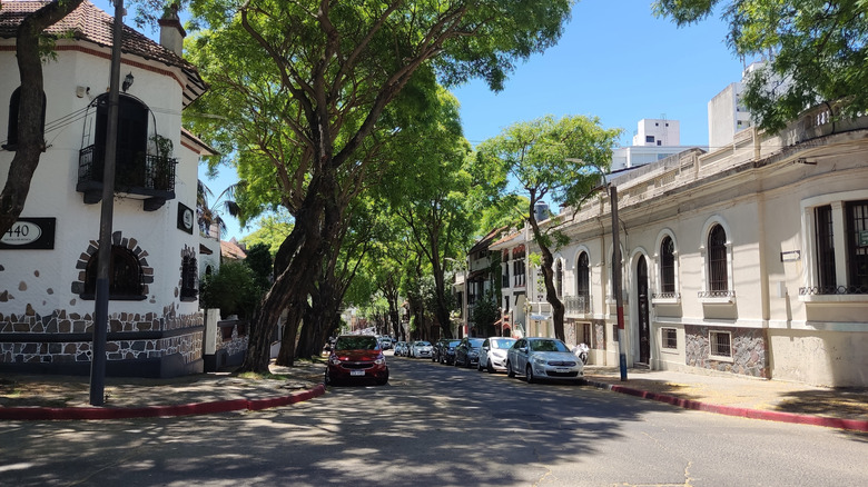A street in the Pocitos neighborhood of Montevideo