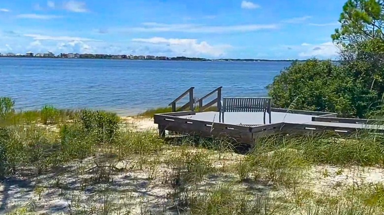 The boardwalk platform at Jeff Friend Trail with sandy access to Little Lagoon in Alabama