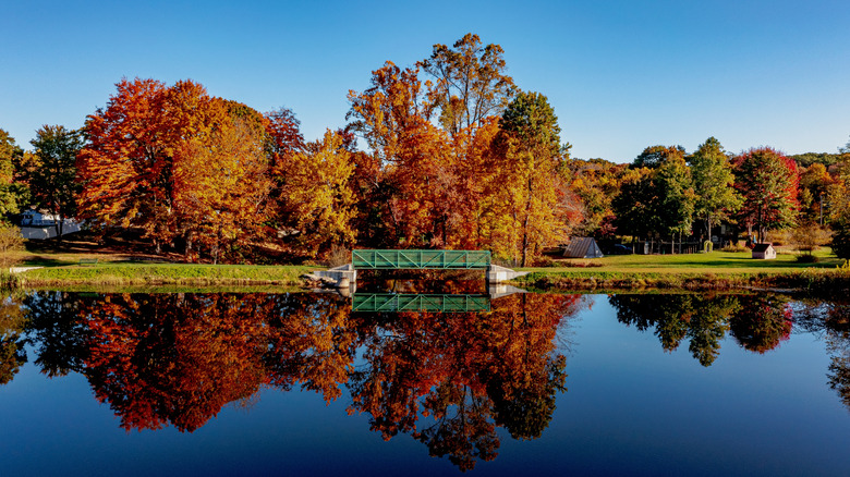 Fall foliage reflects in a pond with green bridge across it