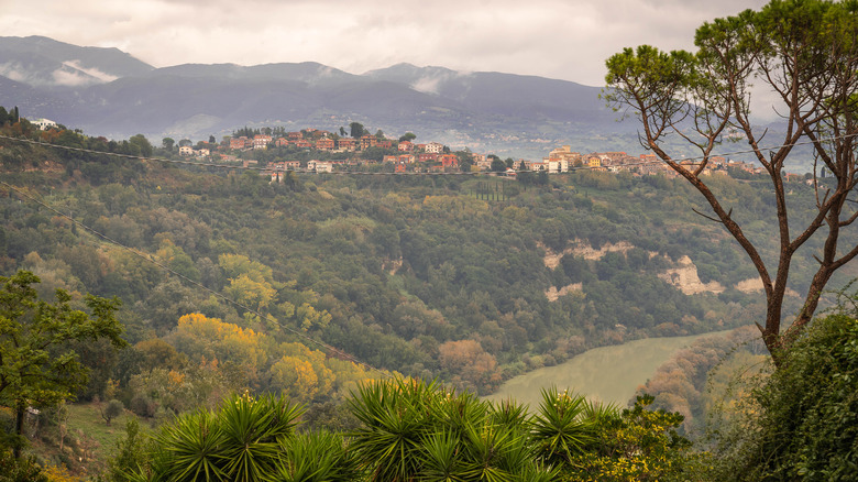 Wide view of Grottaferrata, on a hill